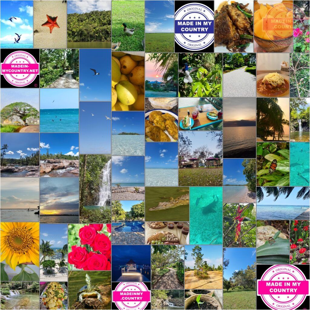 MadeinMycountry is a global platform that celebrates and supports local history, culture, art, and nature conservation efforts. For two decades, we have been sponsoring local museums, cultural organizations, travel destinations, historical sites and various cultural events around the world.